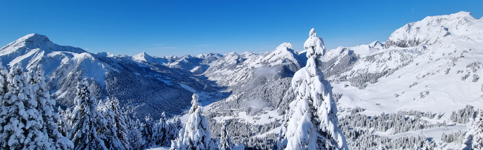 Bienvenue au Ferraillon