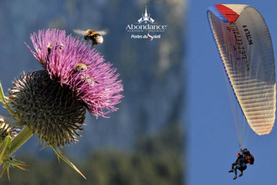 Crdit photo : Patrick Brault