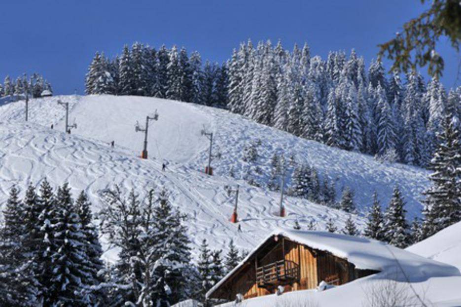 Crédit photo : Patrick Brault Crédit photo : Patrick Brault